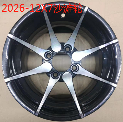 張家口2026-12X7沙灘輪